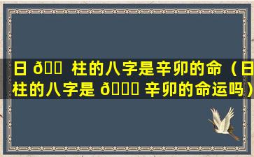 日 🐠 柱的八字是辛卯的命（日柱的八字是 🍁 辛卯的命运吗）